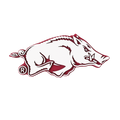 Budz Arkansas Razorbacks