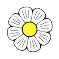 Budz Daisy