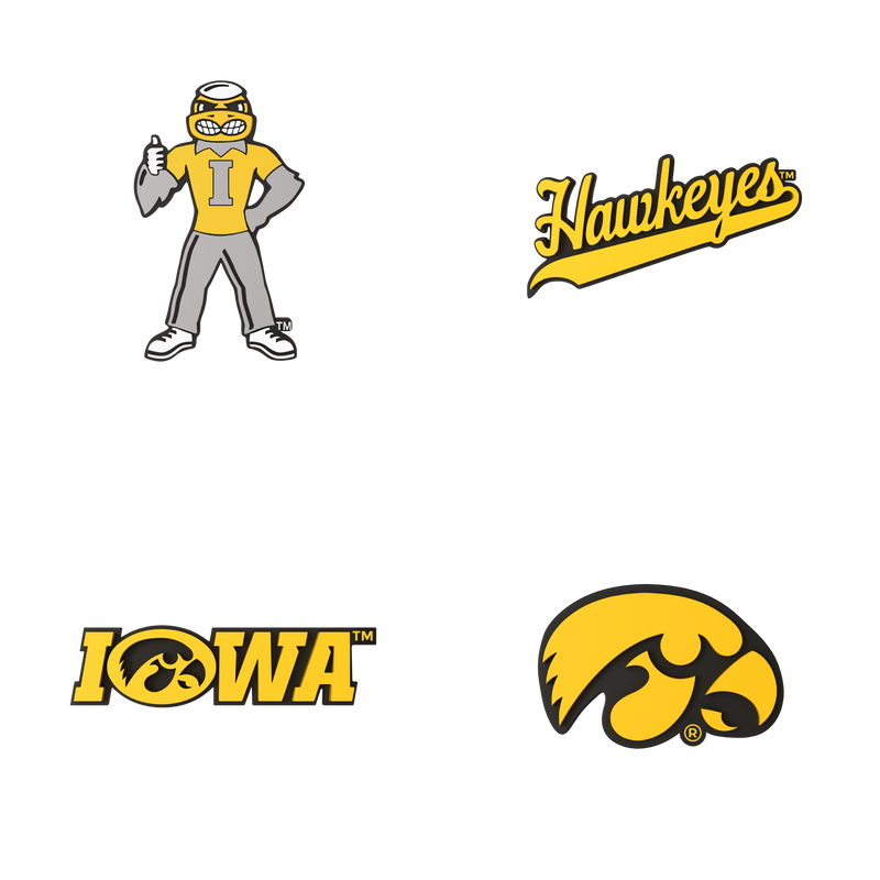 Budz Iowa Hawkeyes 4-Pack Bundle