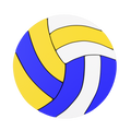 Budz Volleyball