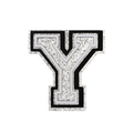 Budz Silver Letter Y
